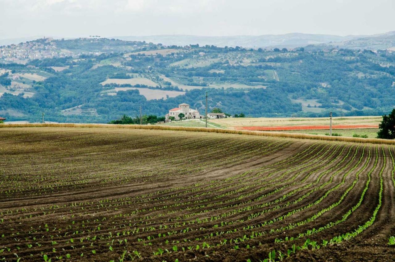 בית הארחה San Giorgio del Sannio 	Country Relais La Torretta Baronale מראה חיצוני תמונה